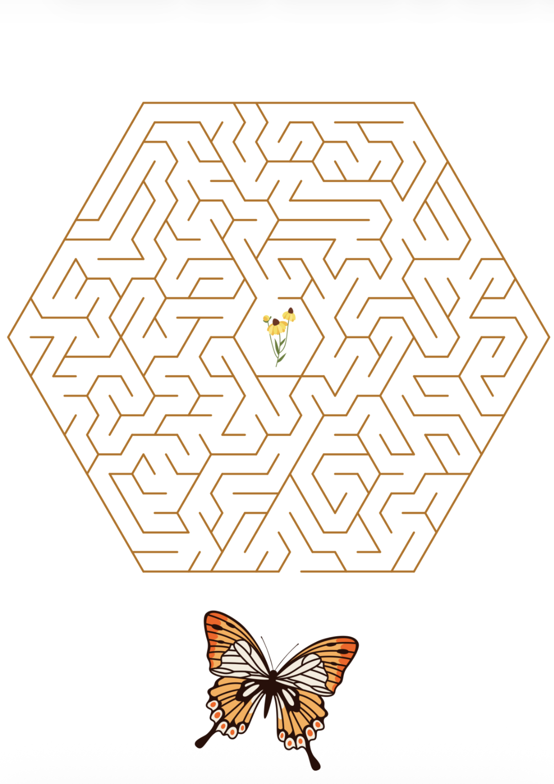 Labirintul cu Nicoli - imagine 2